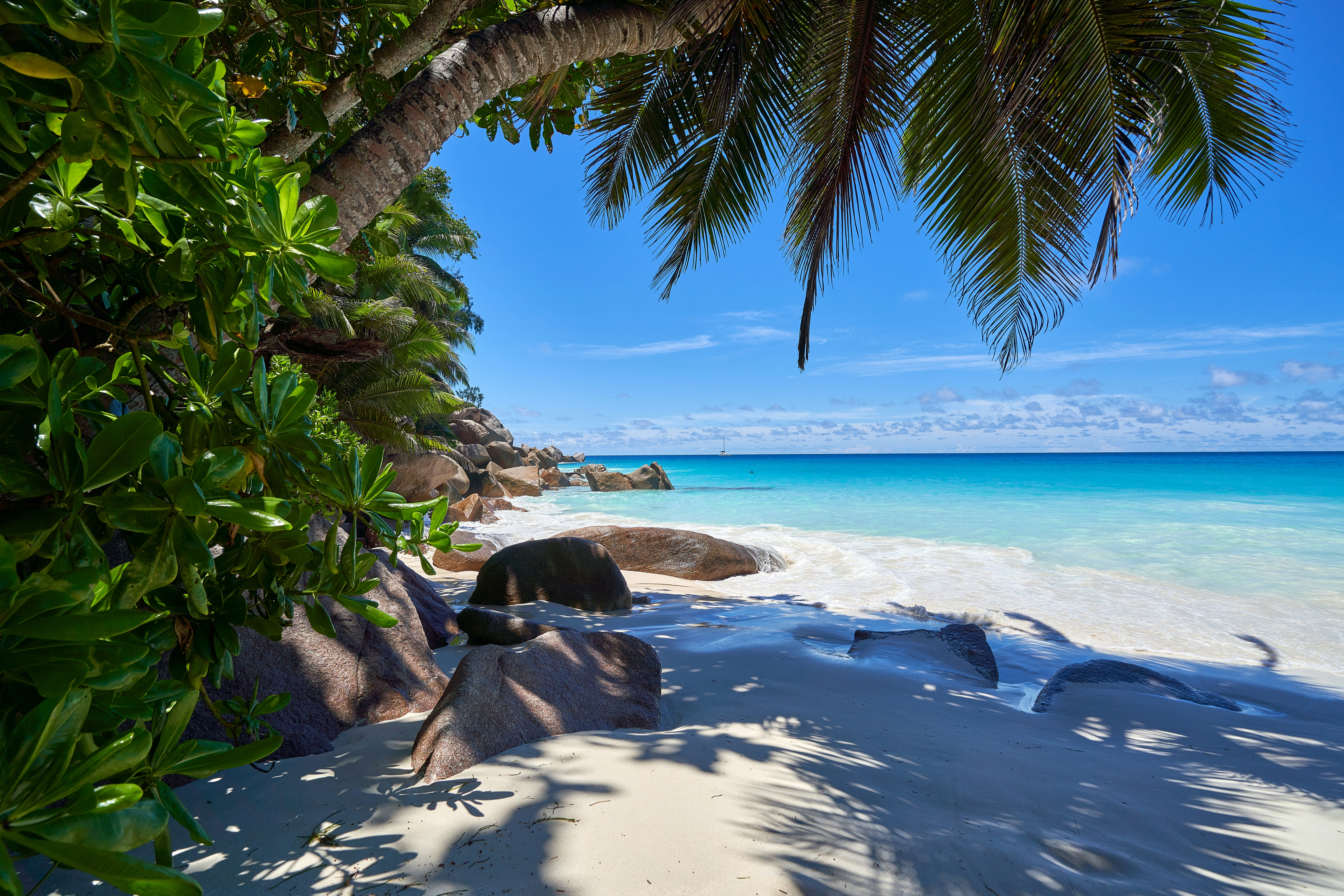 Seychelles & Mauritius