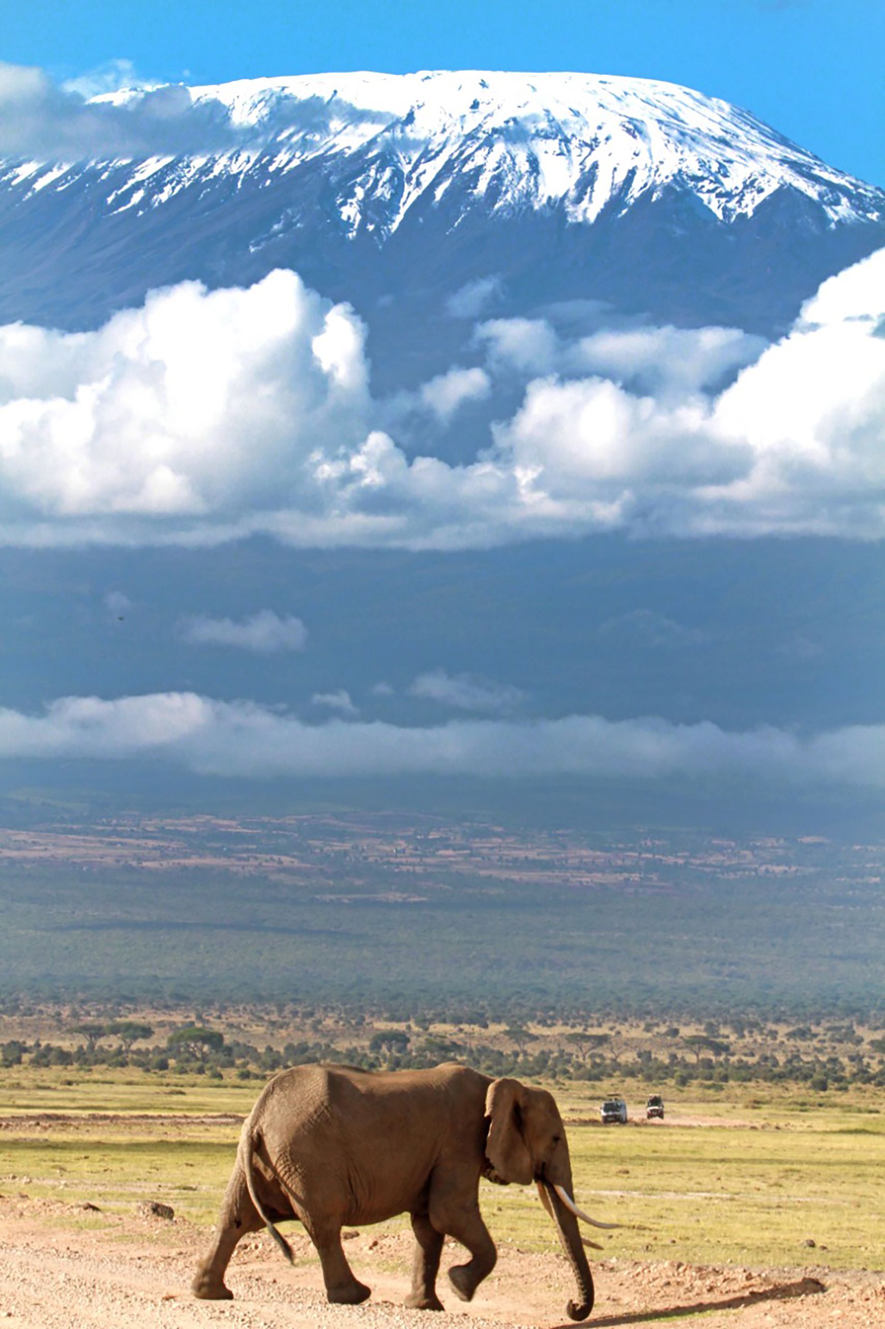 Kenya & Tanzania Safari Luxe